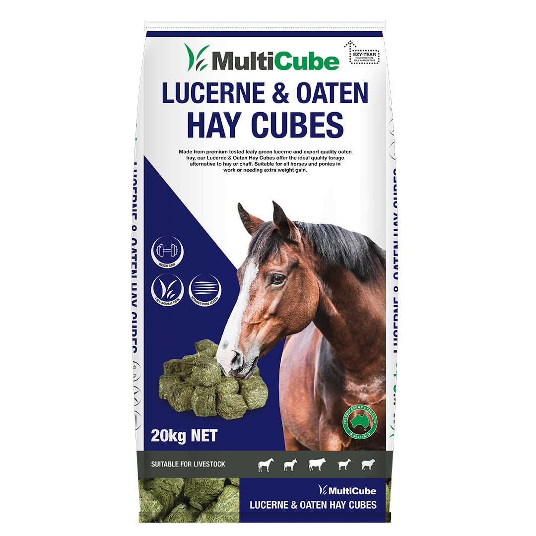 EVENT SPECIAL - Lucerne & Oaten Hay Cubes - 20kg Bag