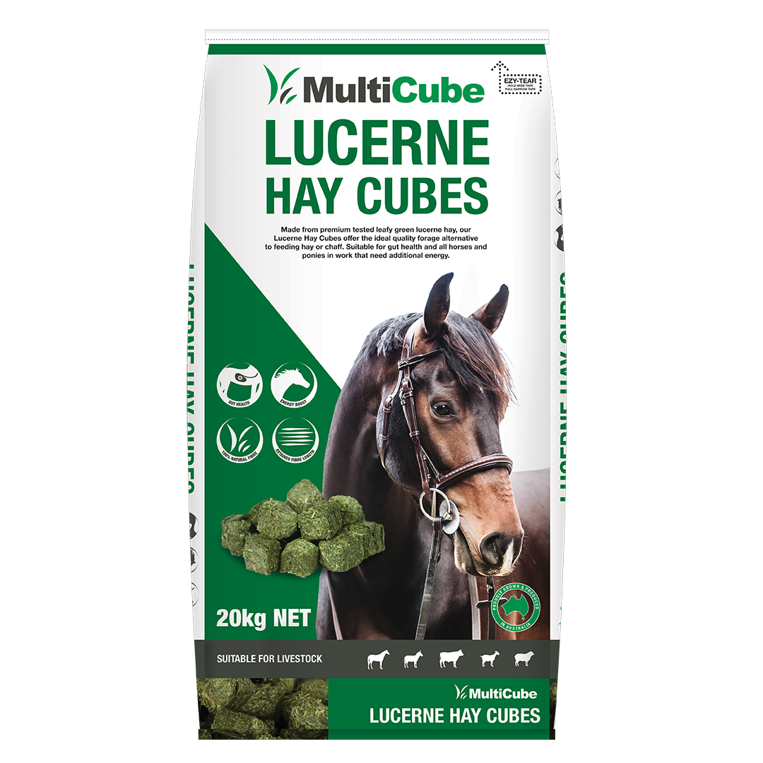 EVENT SPECIAL - Lucerne Hay Cubes - 20kg Bag