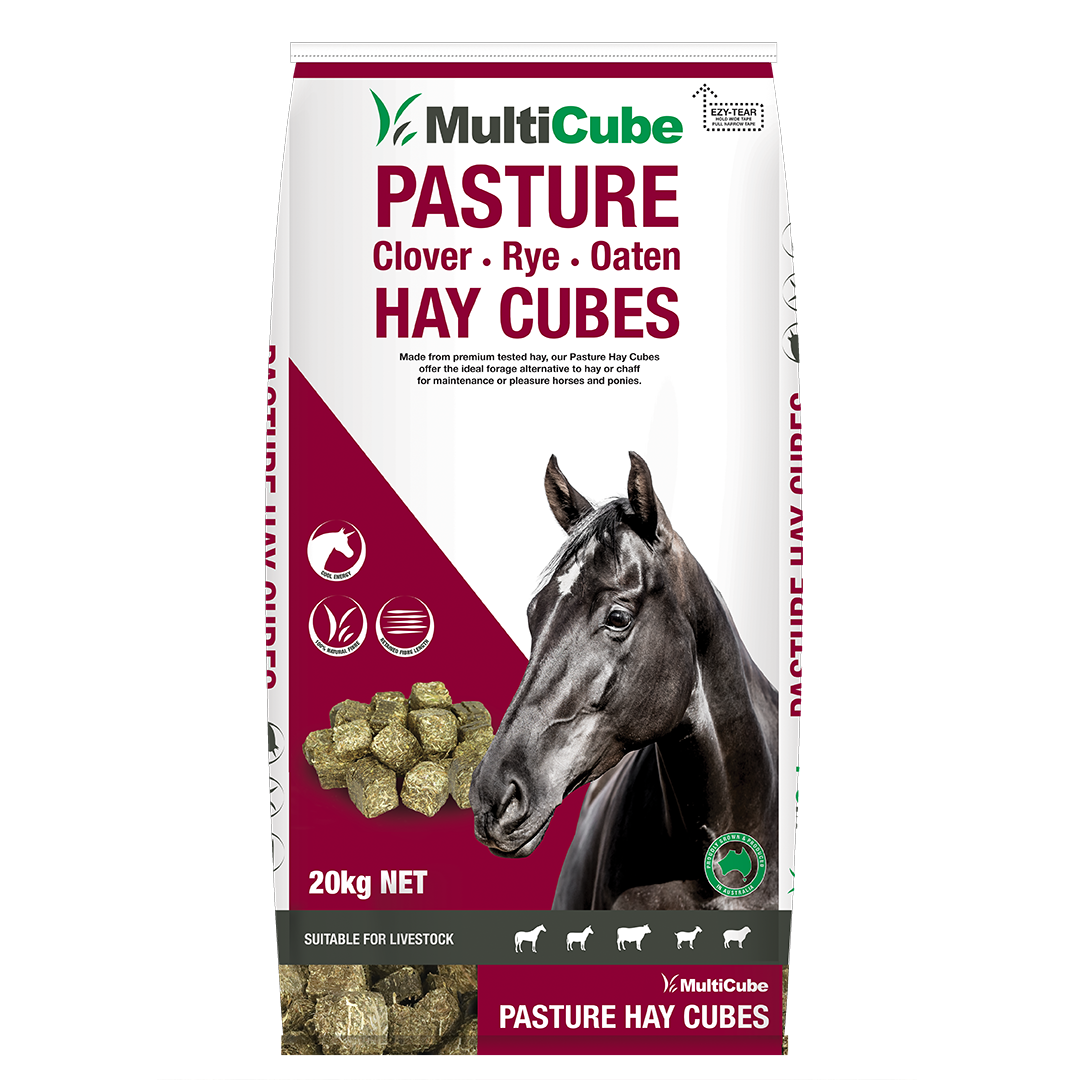 EVENT SPECIAL - Pasture Hay Cubes - 20kg Bag