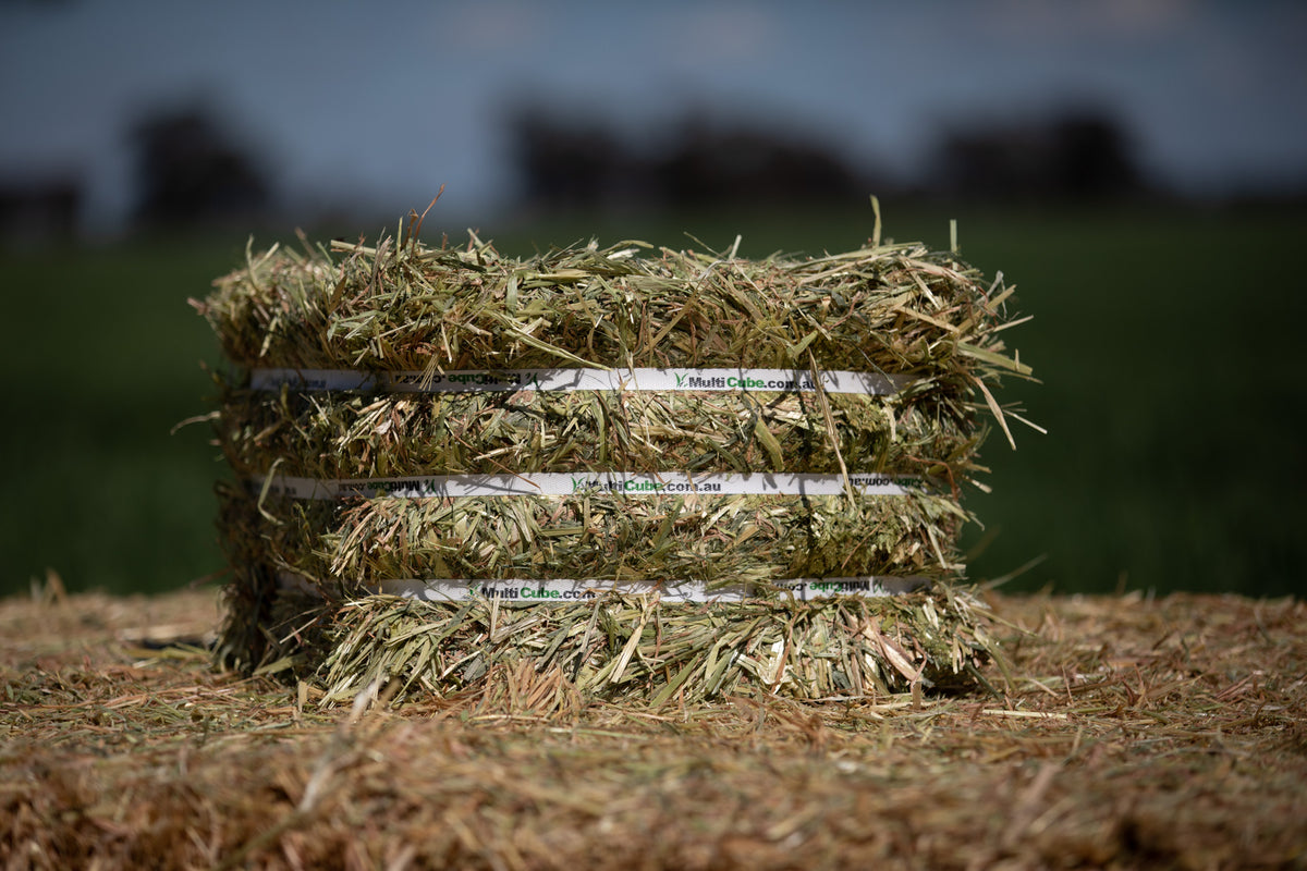 EVENT SPECIAL - Compressed Premium Oaten Hay